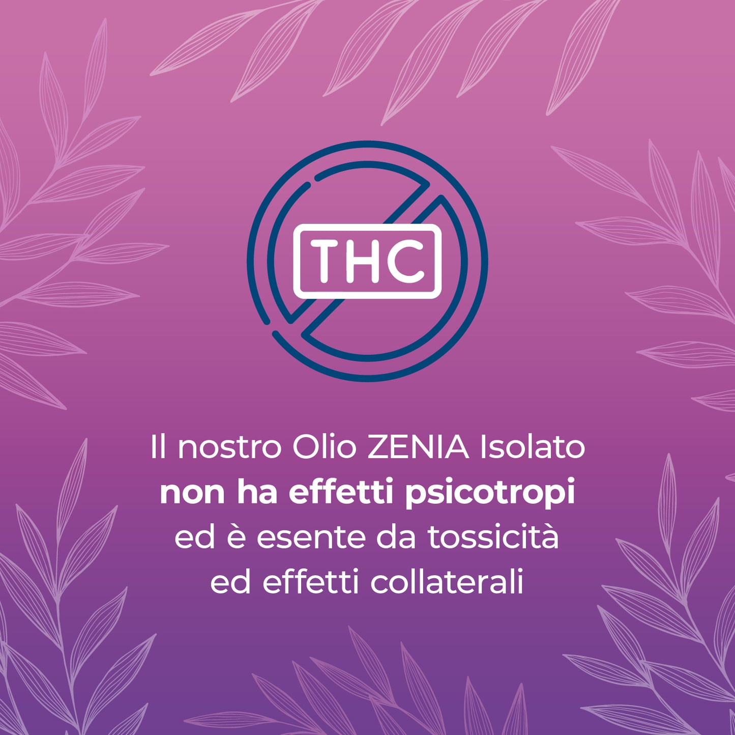 Zenia Olio CBN 5%