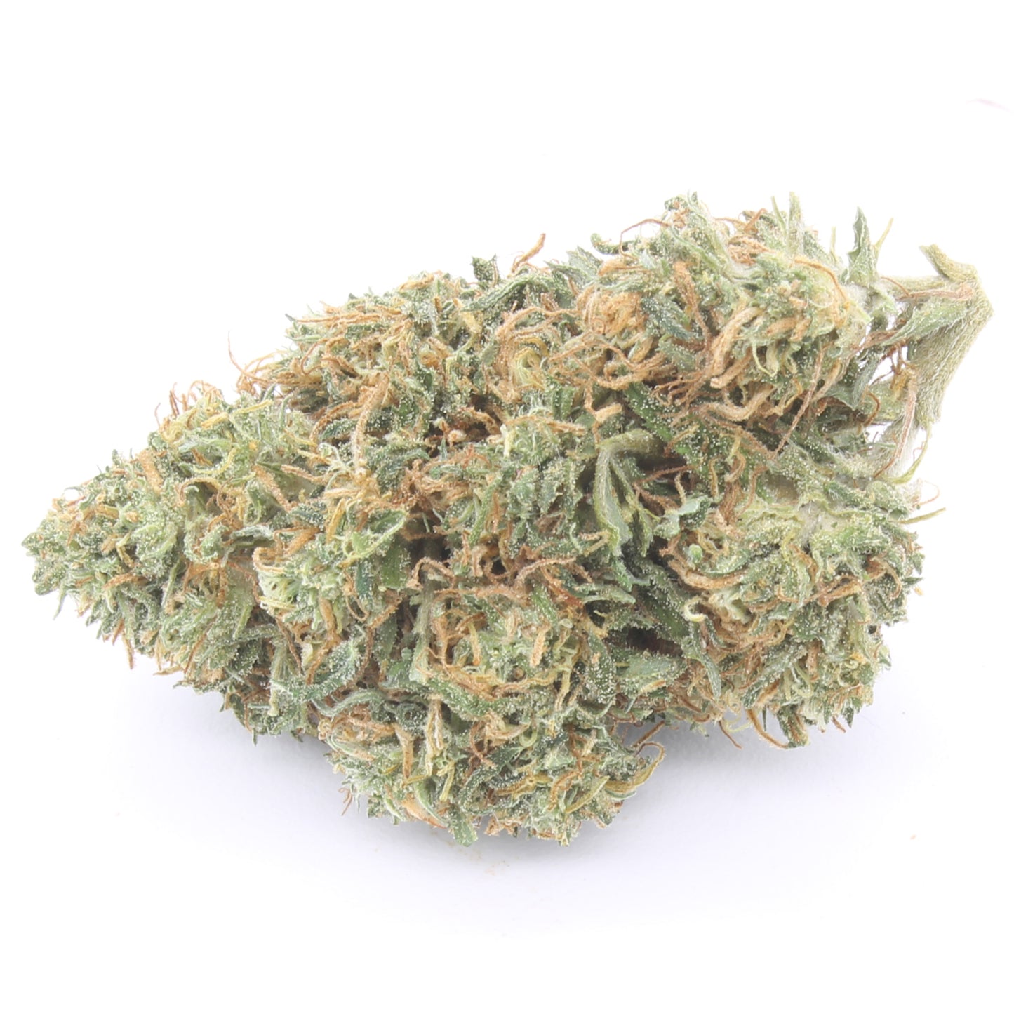 Orange Bud