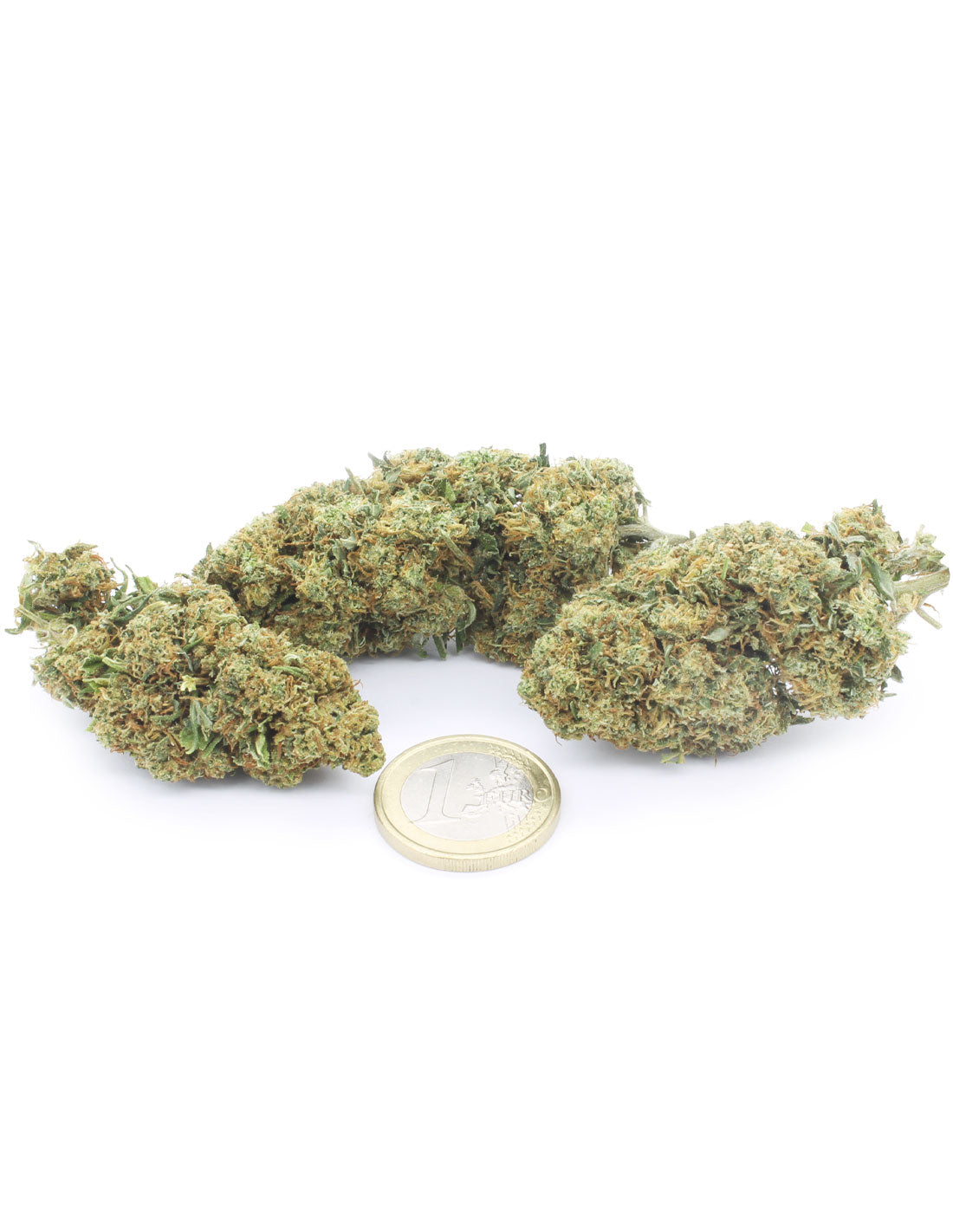 Gelato 41 Indoor