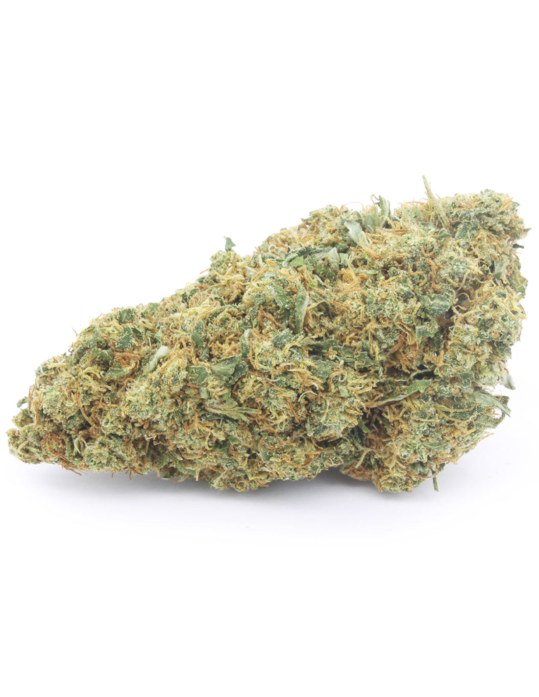 Gelato 41 Indoor