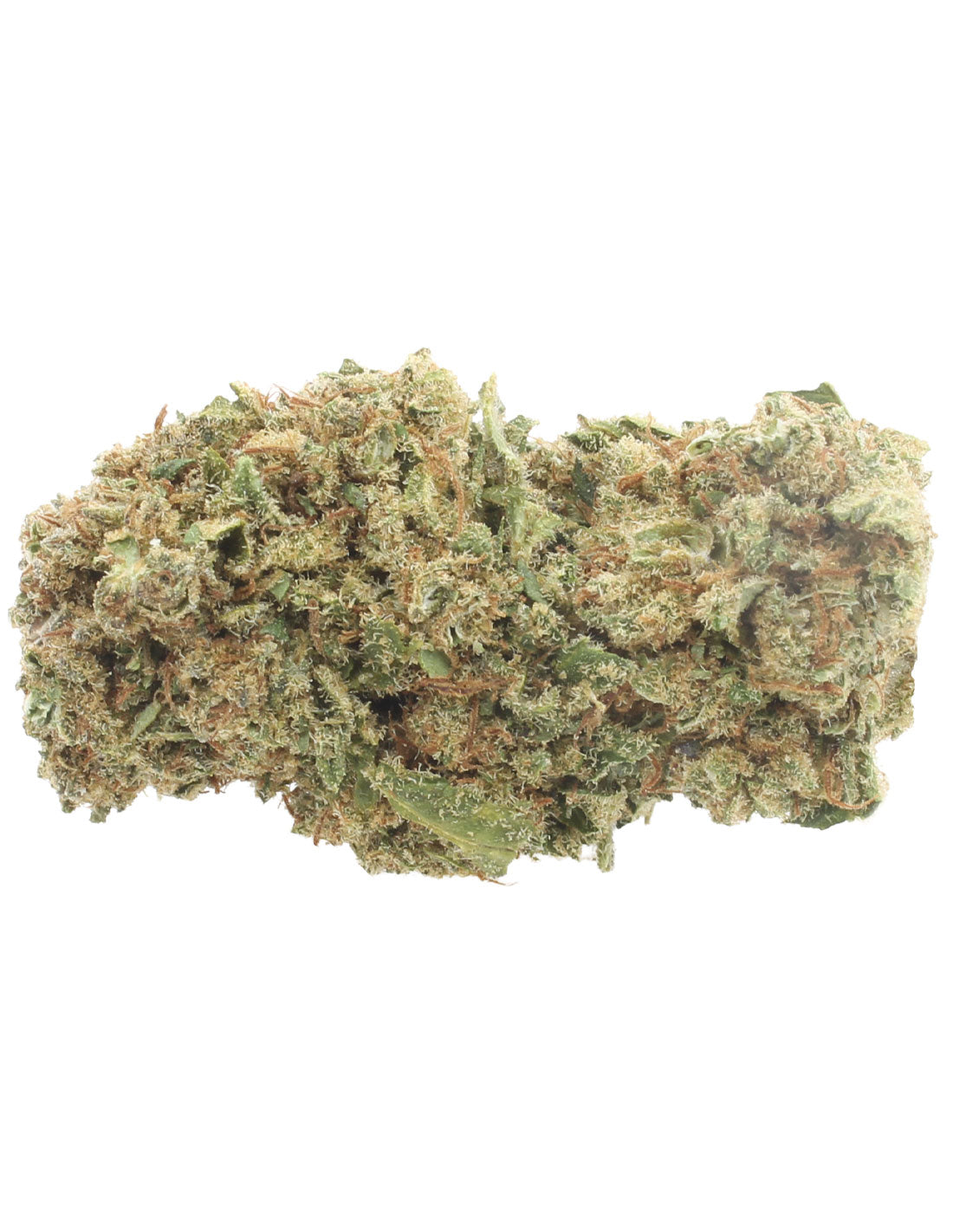 Orange Bud