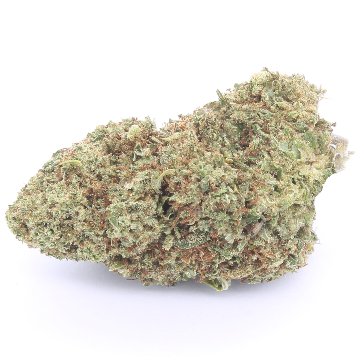Orange Bud