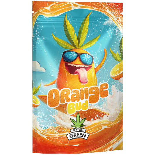 Orange Bud