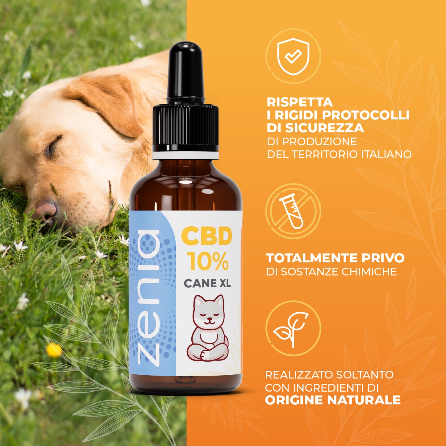 Zenia Olio CBD 10% Cane XL