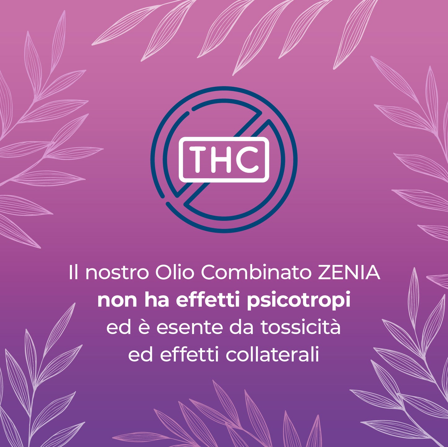 Zenia Olio CBN 10% + CBD 10%