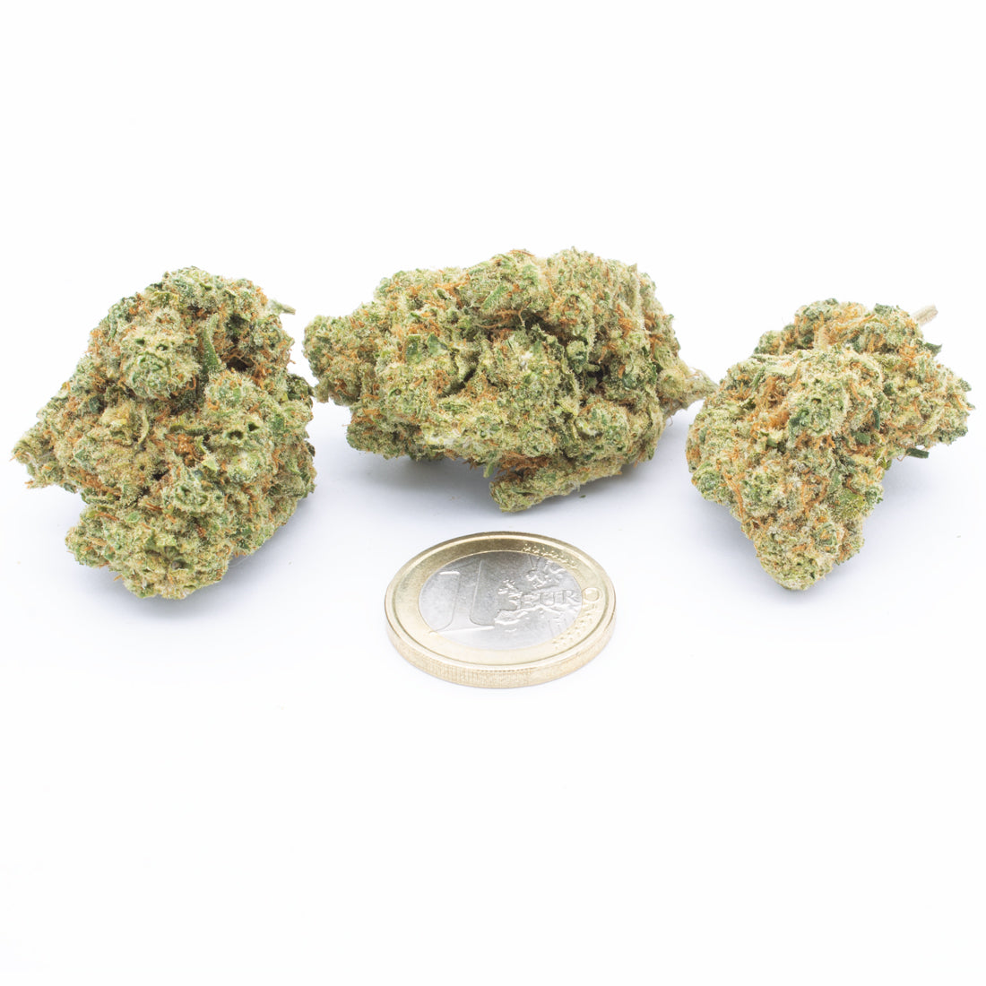 AK47 Indoor