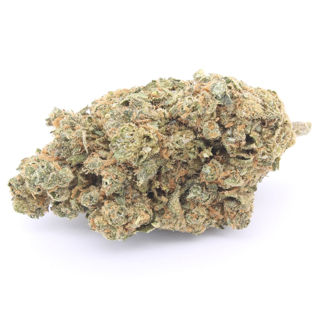 Gorilla Glue Indoor