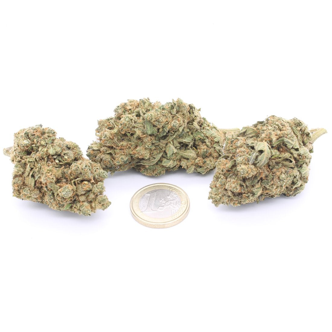 Gorilla Glue Indoor