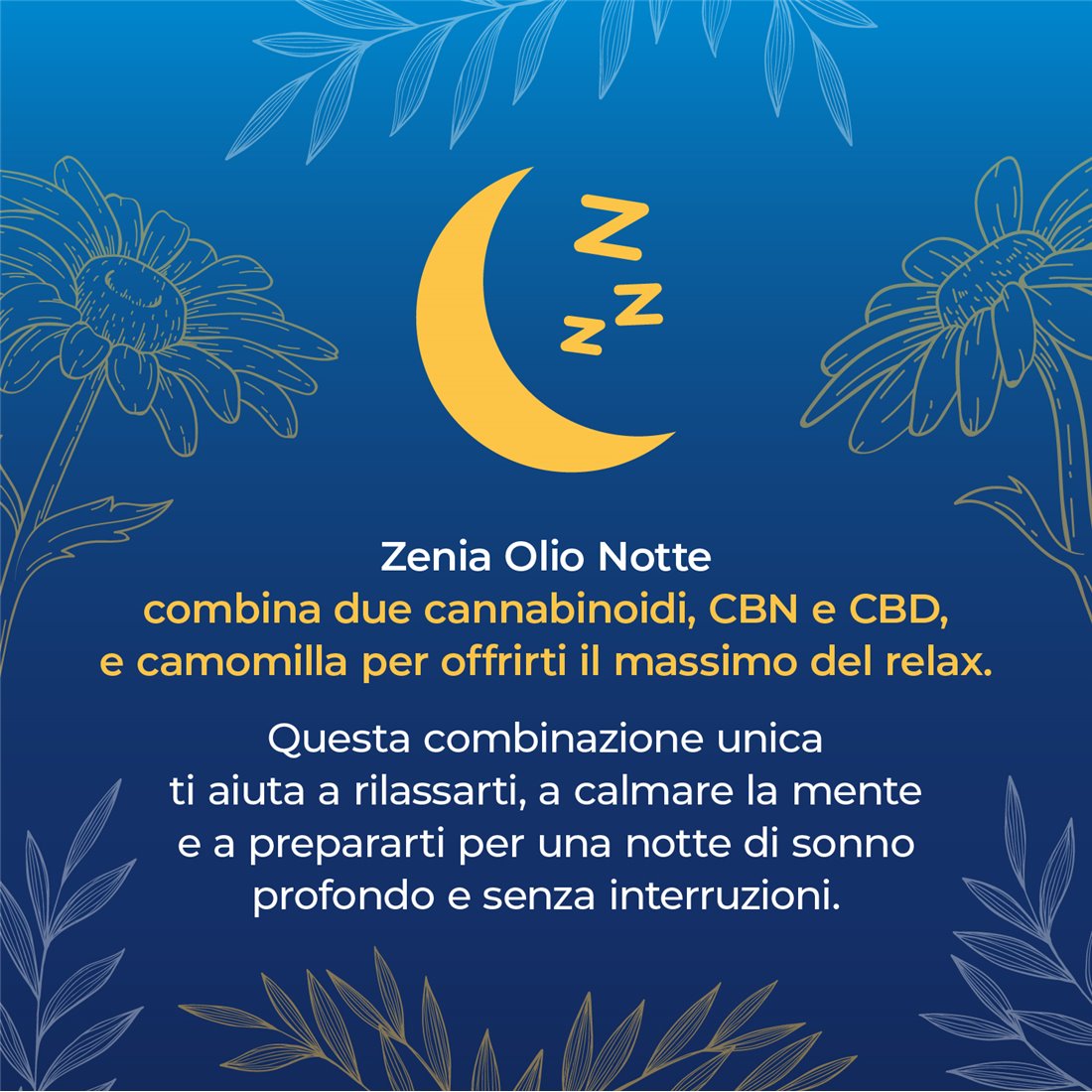 Zenia Olio Notte 15% CBD + CBN