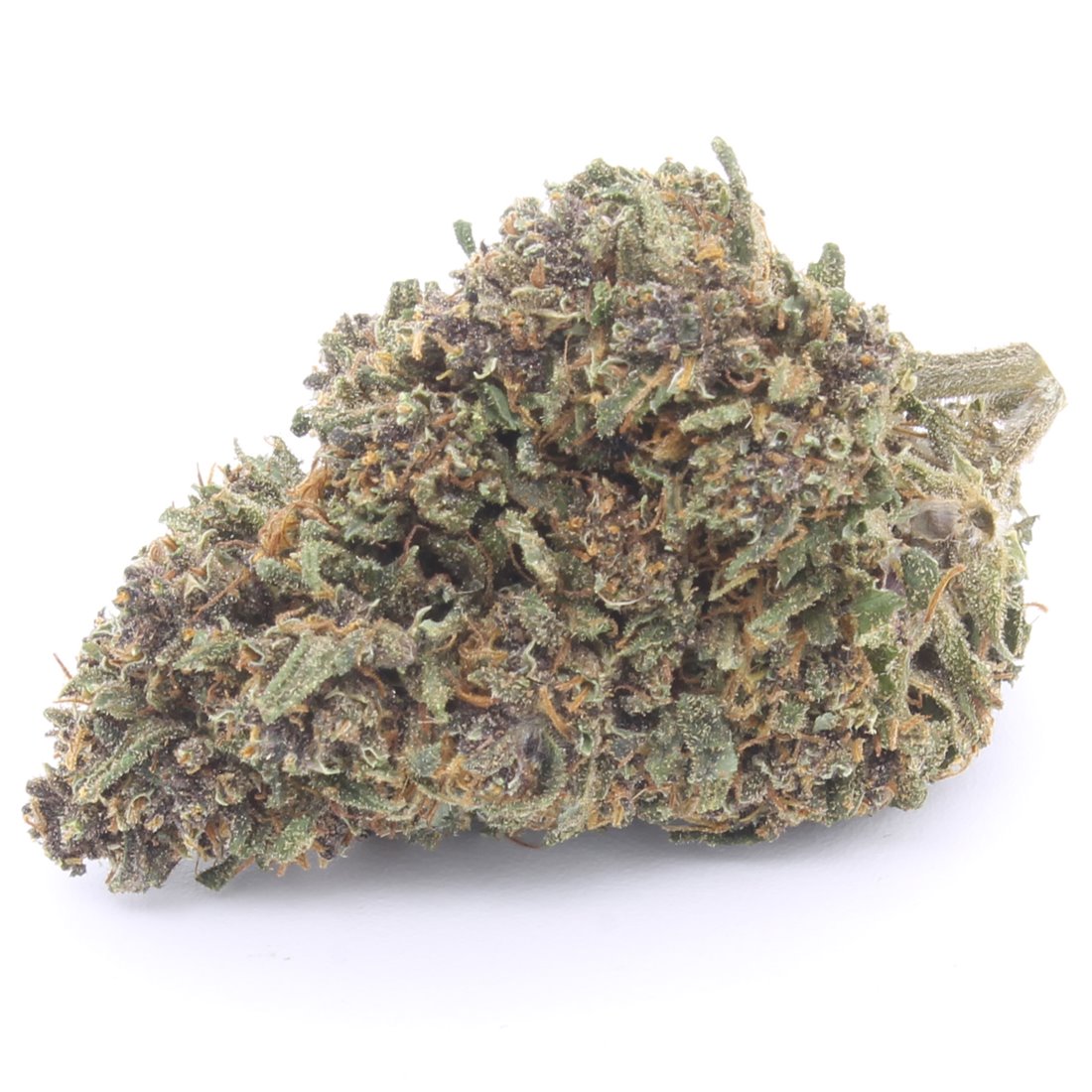 Purple Queen