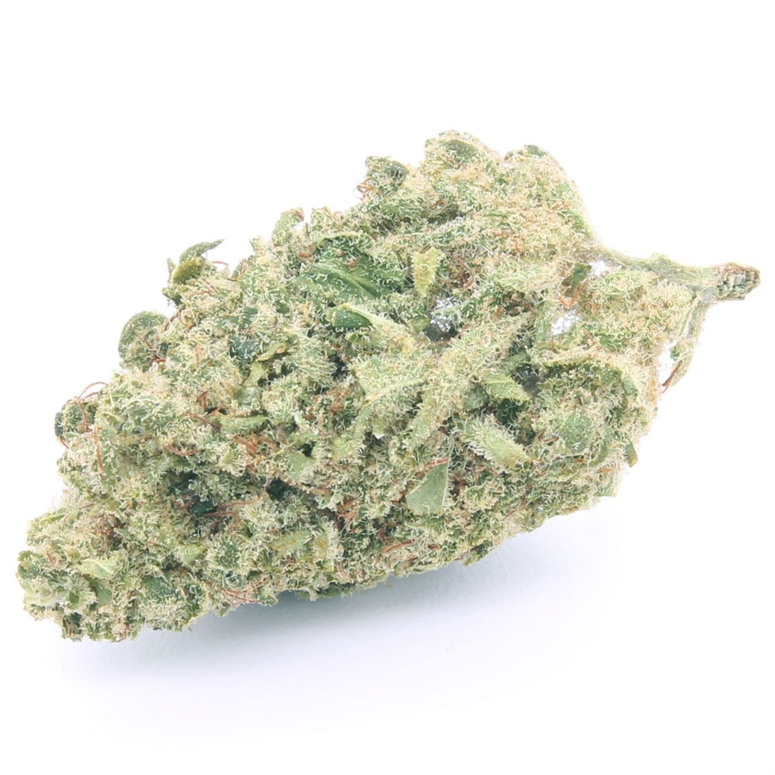 White Widow