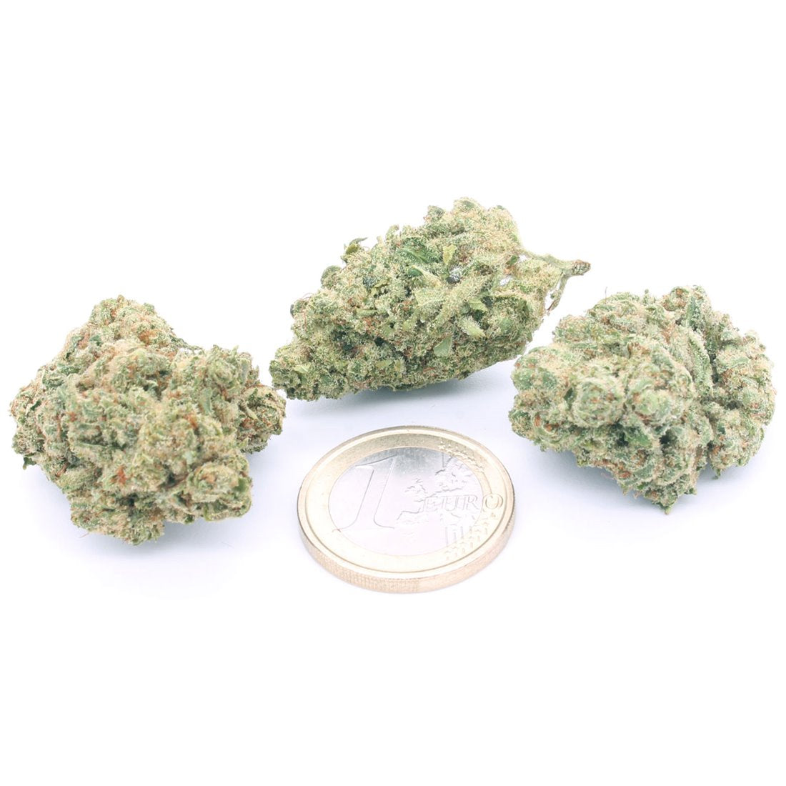 White Widow