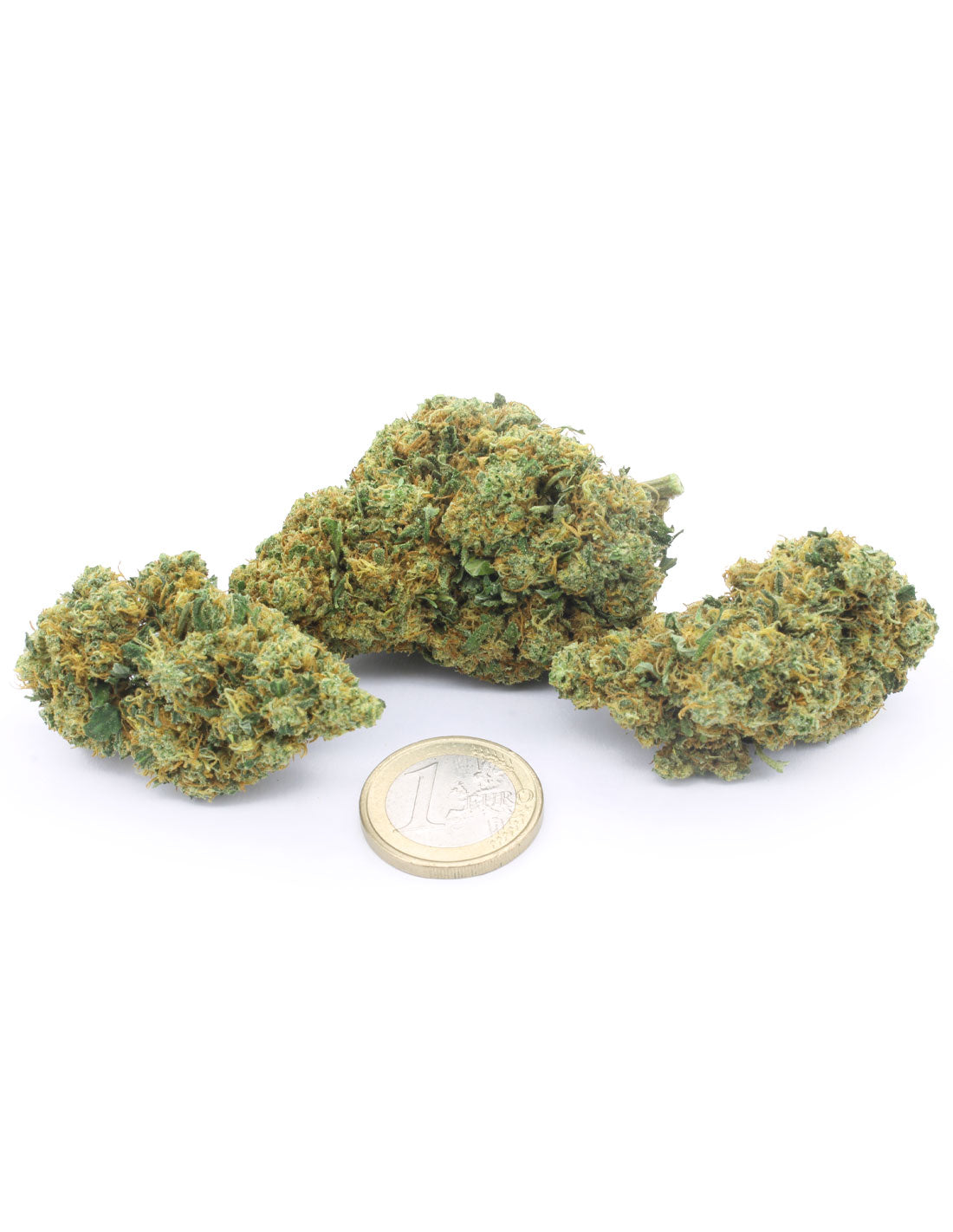Critical Critical+ - Fratelli Green