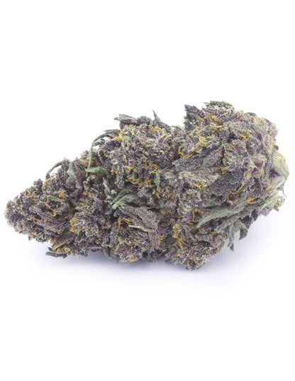 Purple Queen