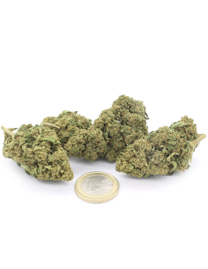 Amnesia Haze