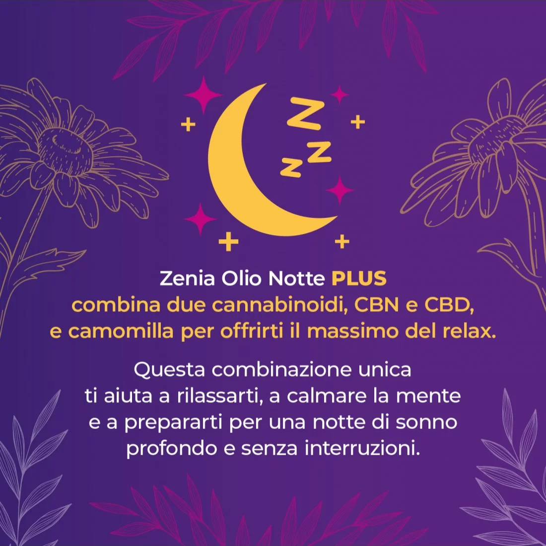Zenia Olio Notte Plus CBN+CBD