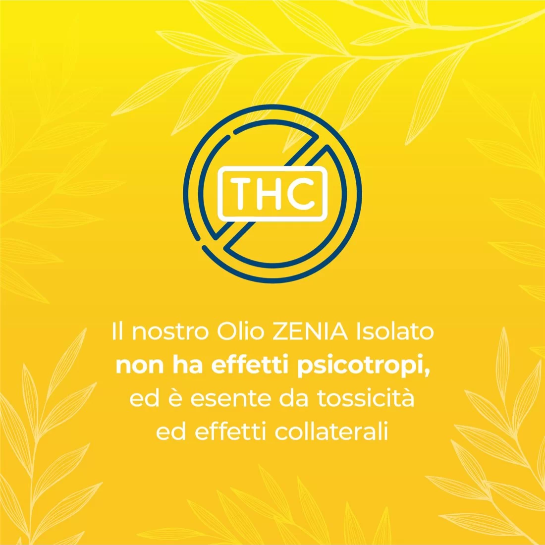 Zenia Olio CBC 10%