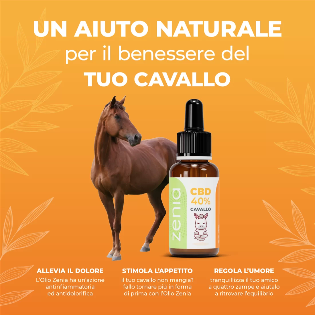 Olio CBD Cavallo 40%