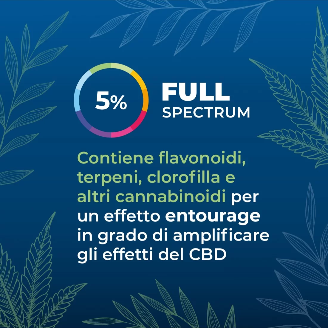 Olio CBD full-spectrum 5%