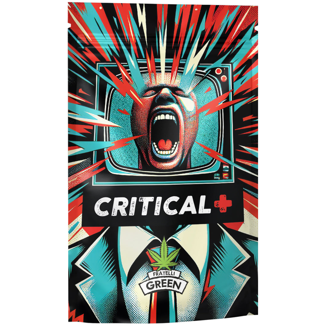 Critical Critical+ - Fratelli Green