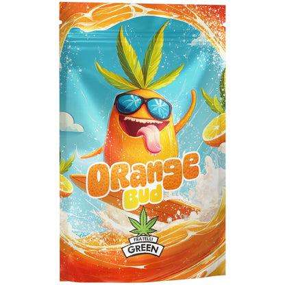 Orange Bud