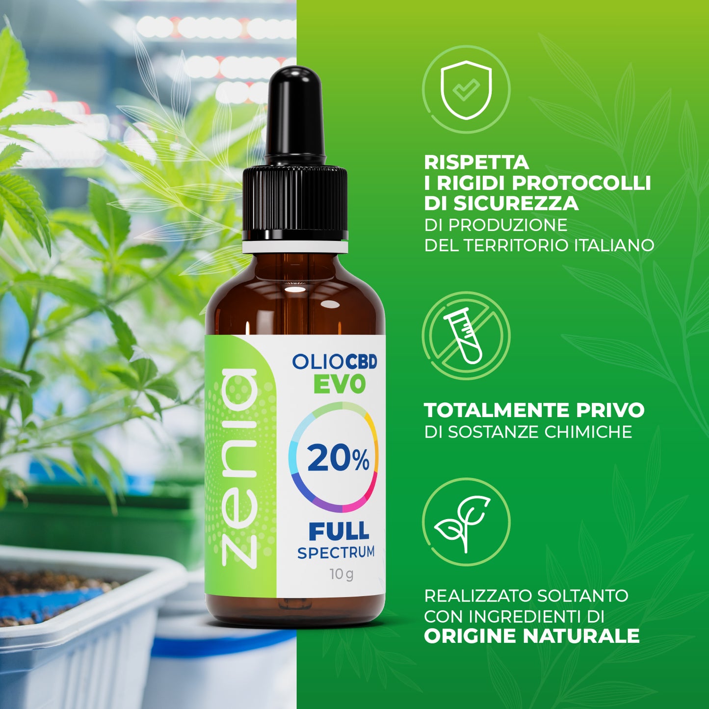 Zenia Olio CBD full-spectrum Evo 20%