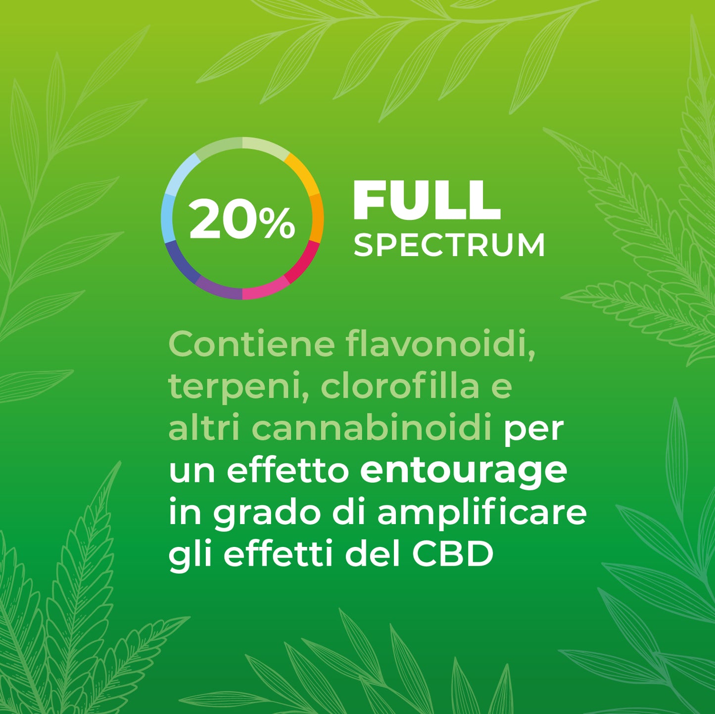 Zenia Olio CBD full-spectrum Evo 20%