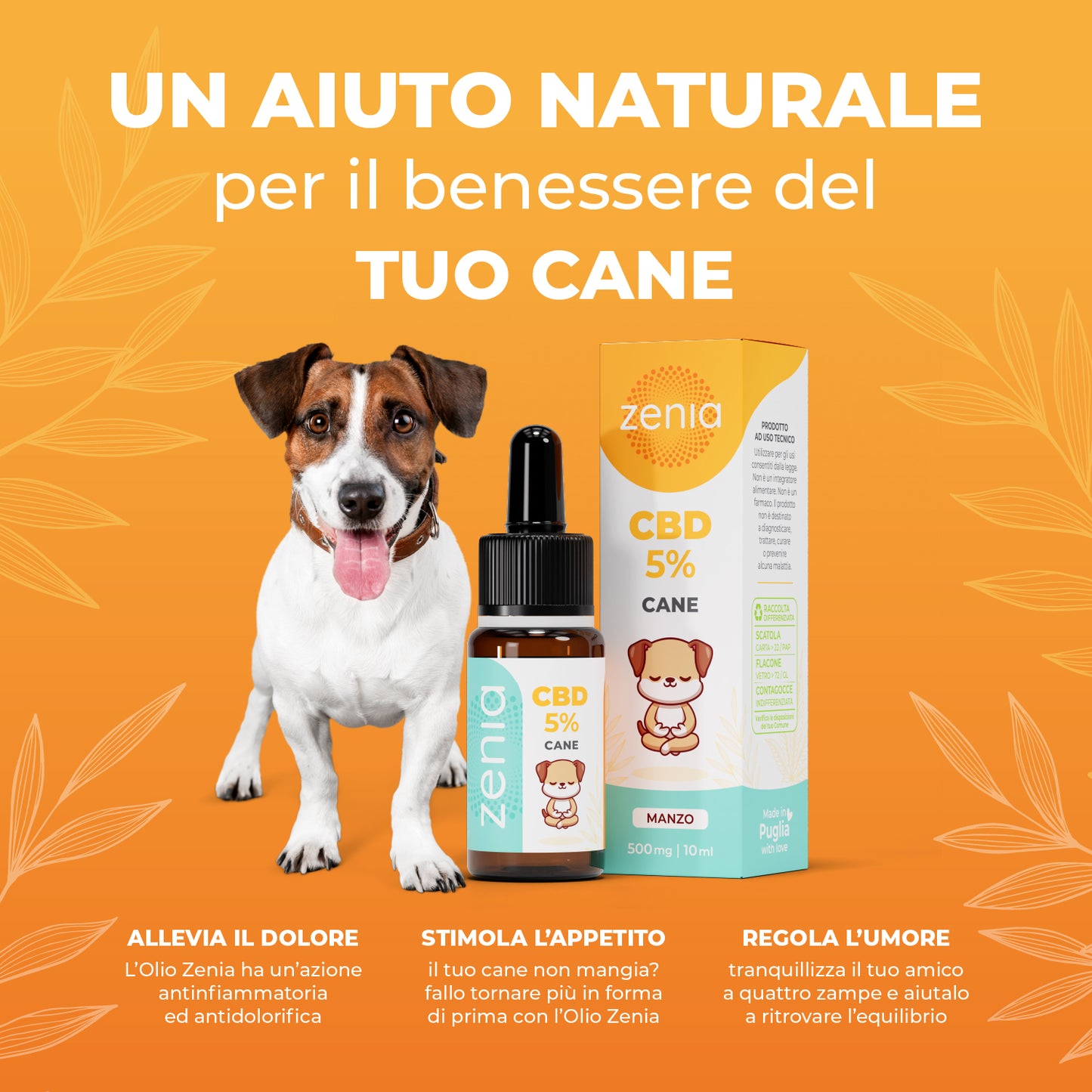 Zenia Olio CBD 5% Cane