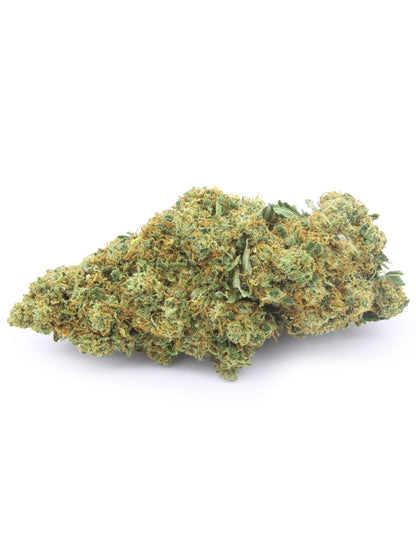 Critical+