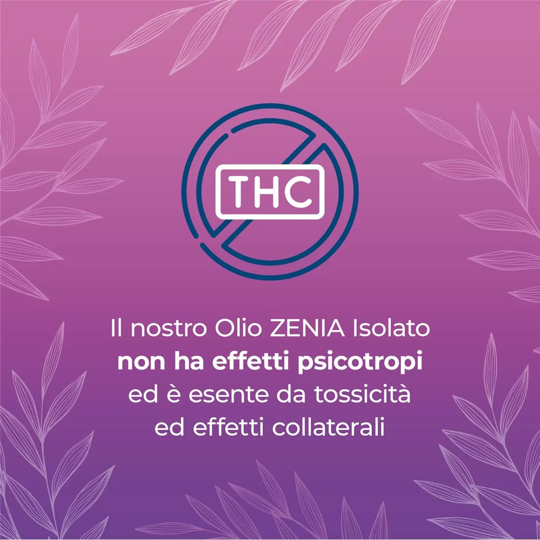 Zenia Olio CBN 10%